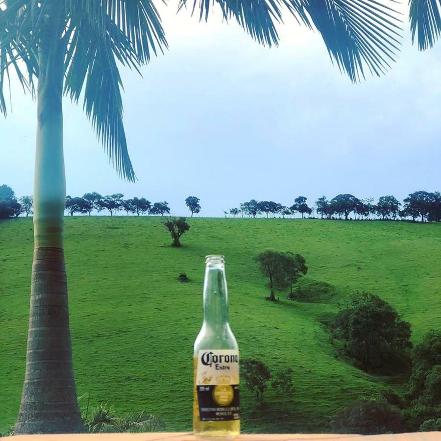 Chales E Bangalos Capim Limao Bueno Brandão エクステリア 写真